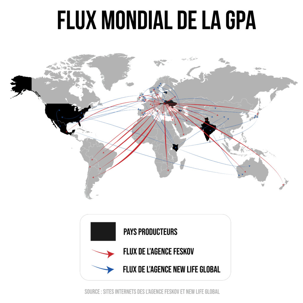 FLUX rsInstagram 1@4x 100 1024x1024