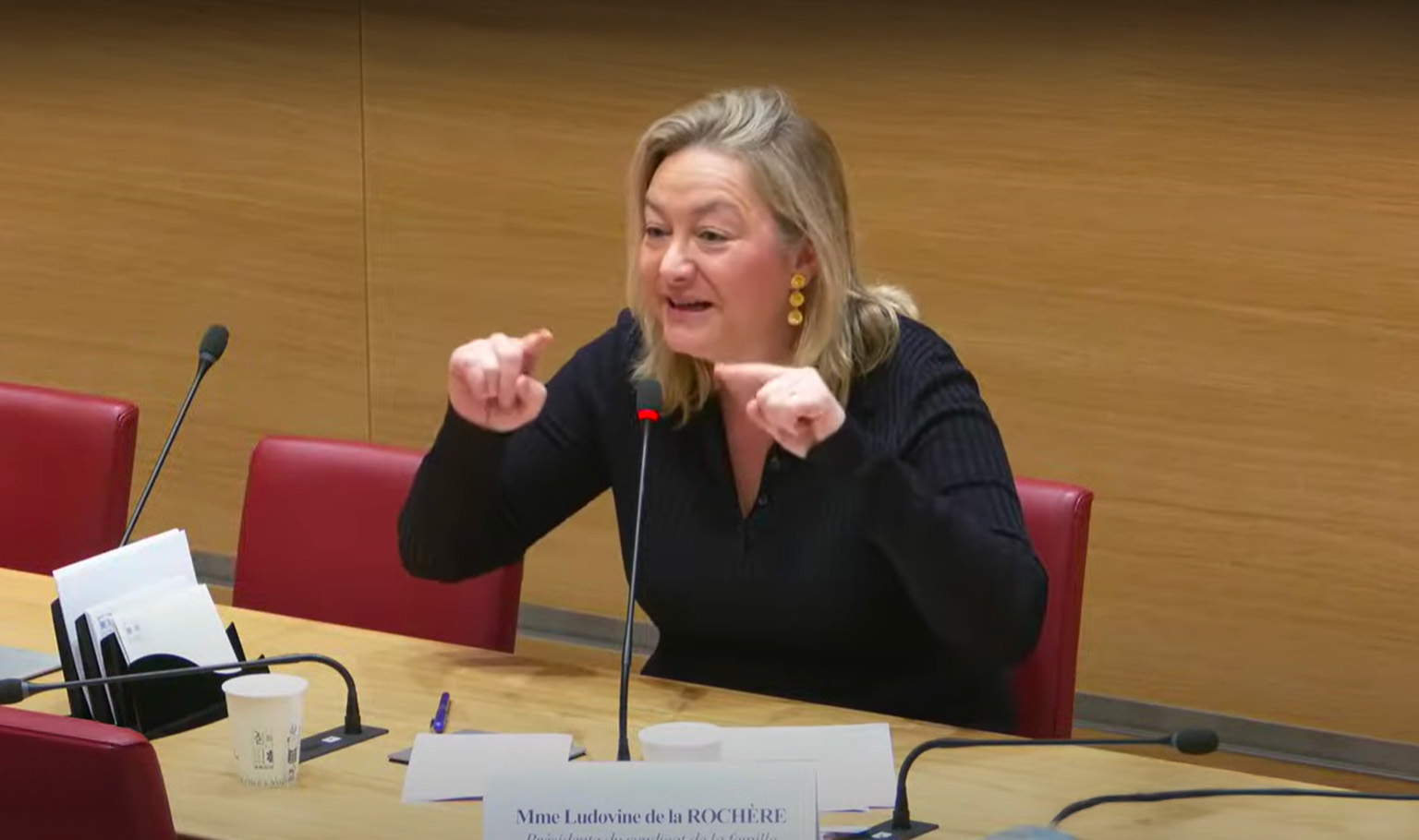audition ludovine assemblee nationale baisse natalite 2