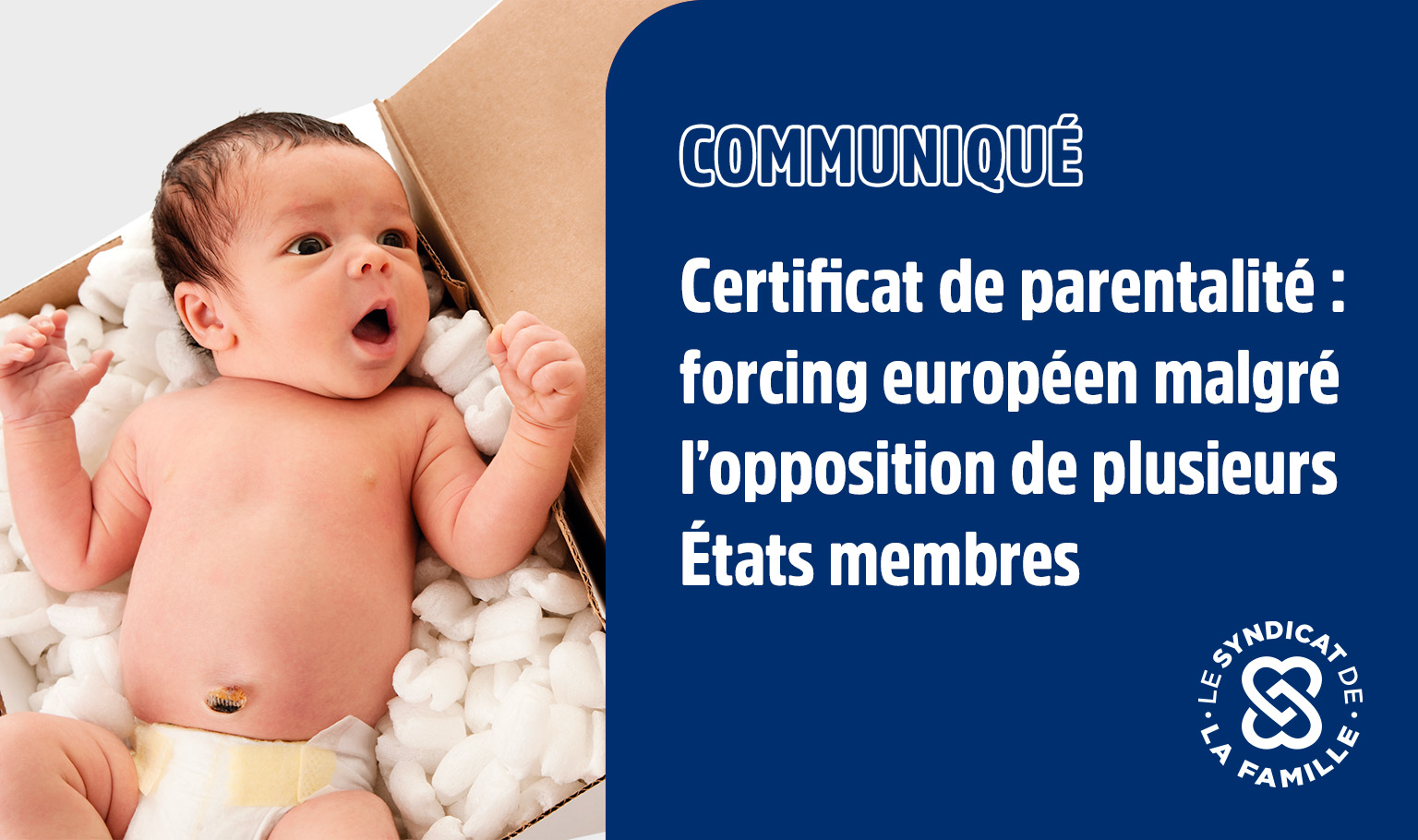 mini cp certificat parentalite 1