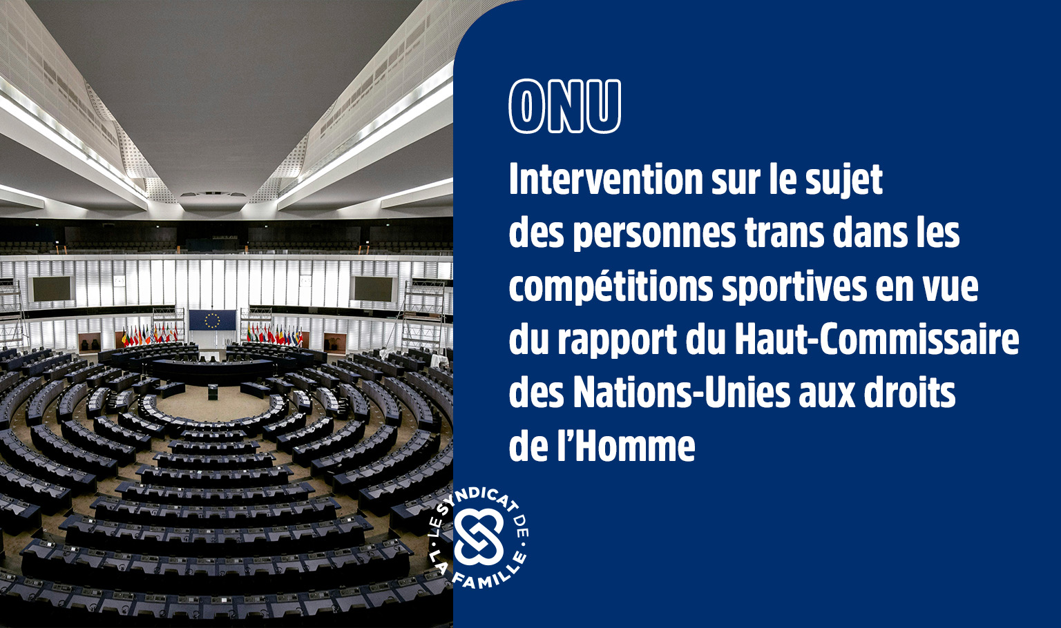 mini onu 15 fev 2025 personnes trans competitions sportives 1