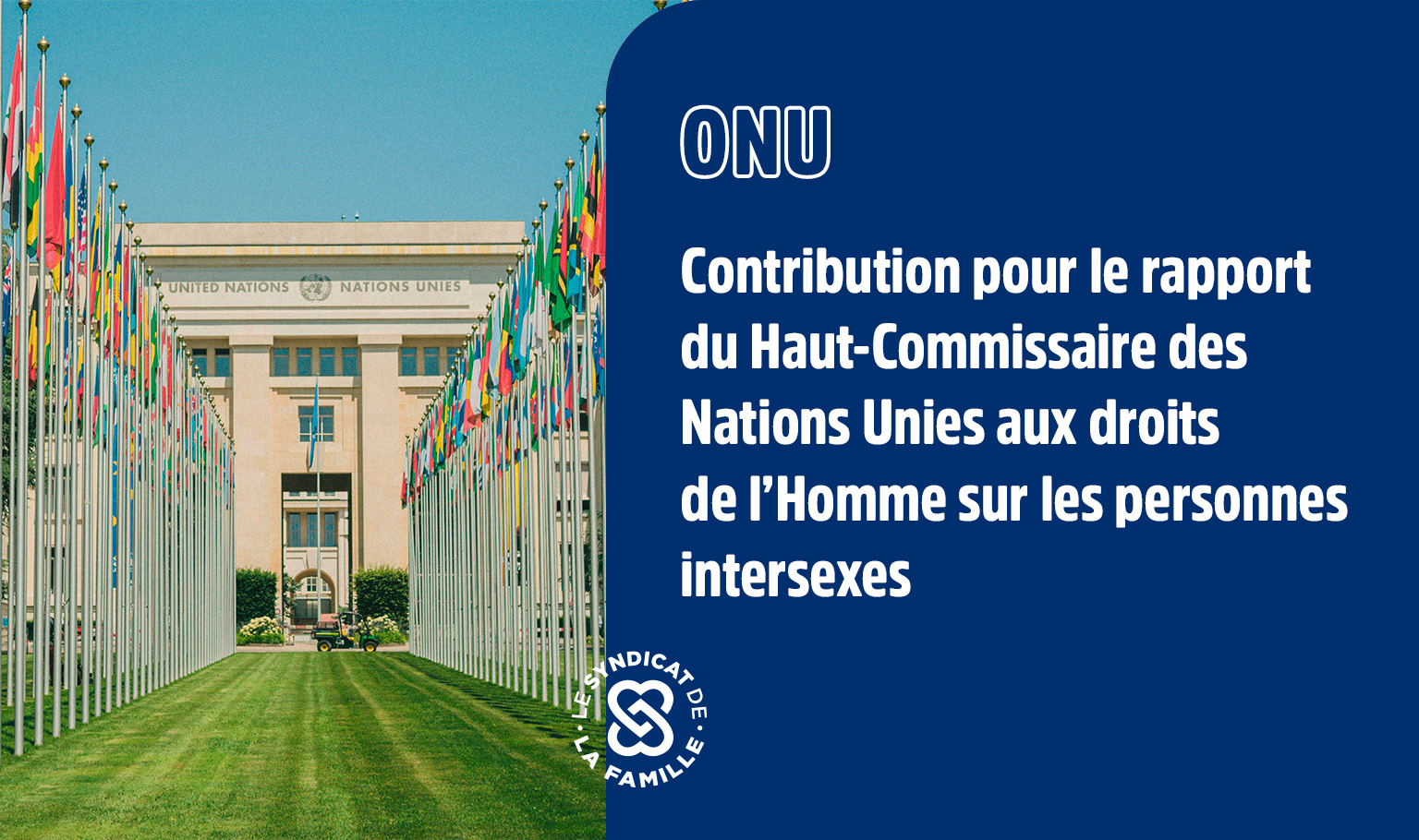 mini onu 15 nov 2025 contribution rapport haut commissaire nations unies intersexe 1