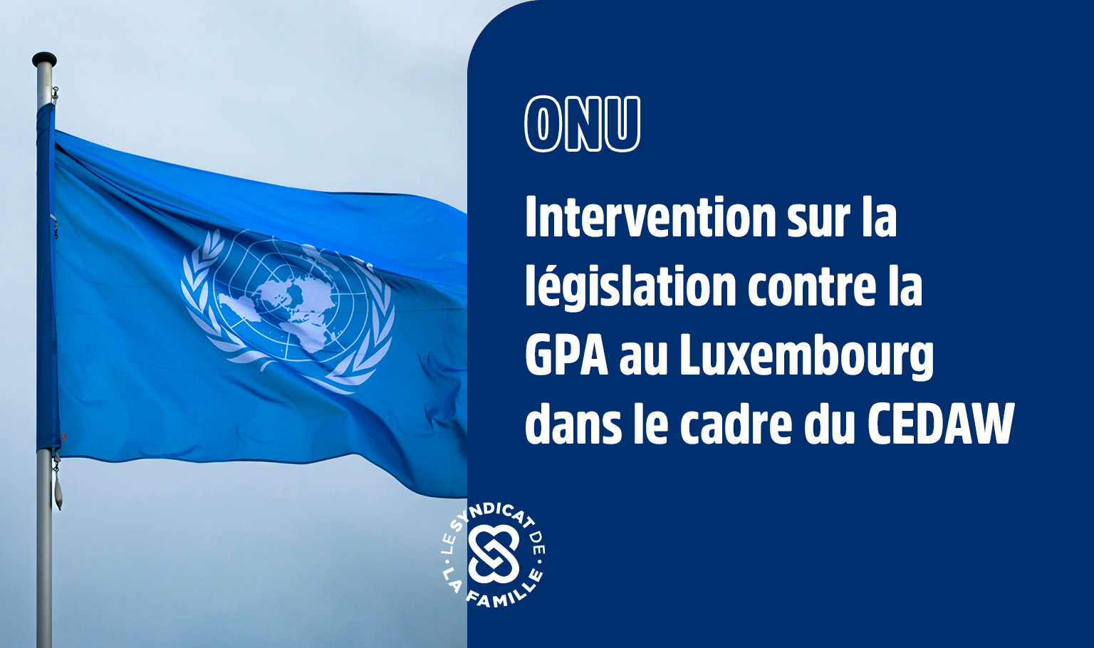 mini onu 7 fevrier 2025 intervention legalisation gpa luxembourg 1